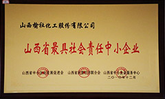 2010年山西省最具社会责任中小企业